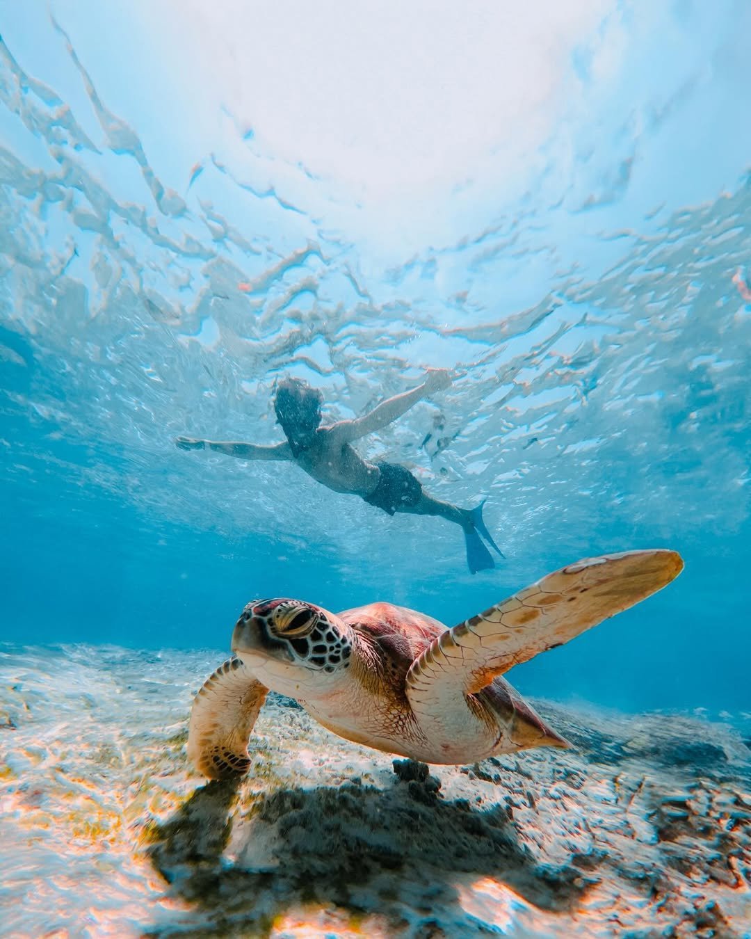 The Ultimate Lembongan Day Cruise, photo 6