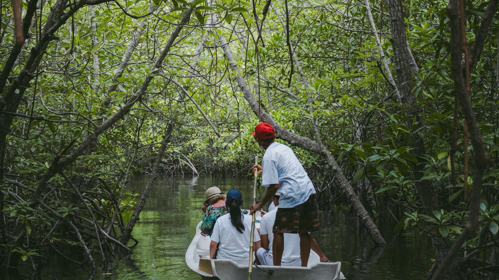 Castaway Escape, photo 8
